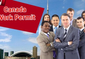 Canada Global Talent Stream Attracts Best Technology Workers In The World: Gravity